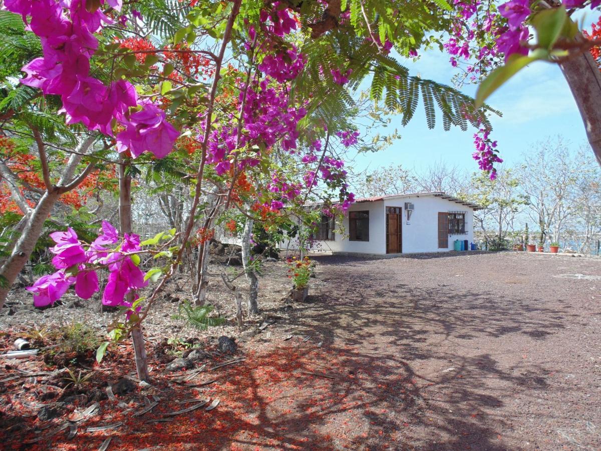 Casa Verde Vacation Garden Home San Cristóbal Ngoại thất bức ảnh